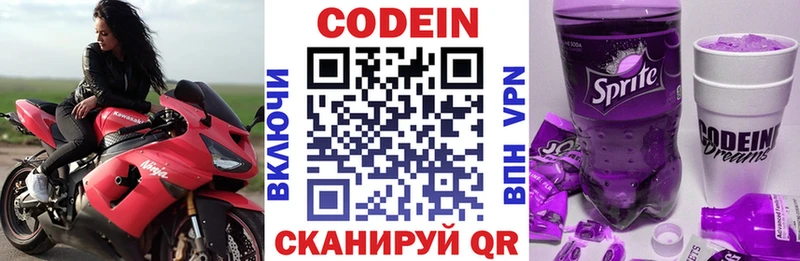 где можно купить наркотик  Петропавловск-Камчатский  Кодеиновый сироп Lean напиток Lean (лин) 