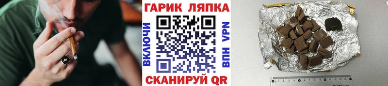 что такое   Петропавловск-Камчатский  ГАШ гарик 