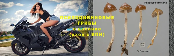 кокаин колумбия Белокуриха