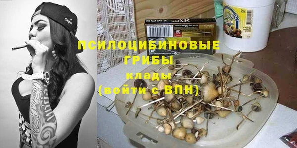 spice Алзамай