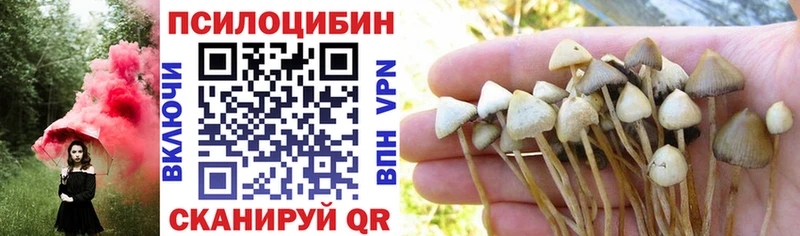 Псилоцибиновые грибы мицелий  Петропавловск-Камчатский 